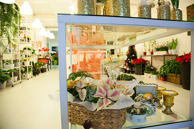 tienda_02