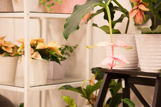 tienda_03