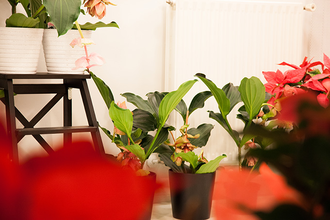 tienda_05